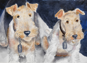 Wirehaired Terriers